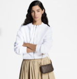 LV 麻雀包：圖片 2